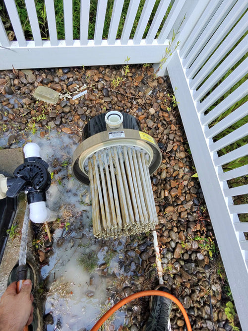 DE & Cartridge Filter Cleaning - Blue Bottom Pools 