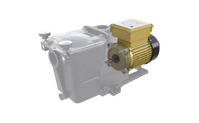 Hayward TEFC Threaded Replacement Motors